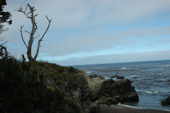 Point Lobos 019.jpg